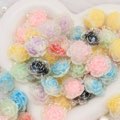 139クイズ袋　夜光のバラシリーズ